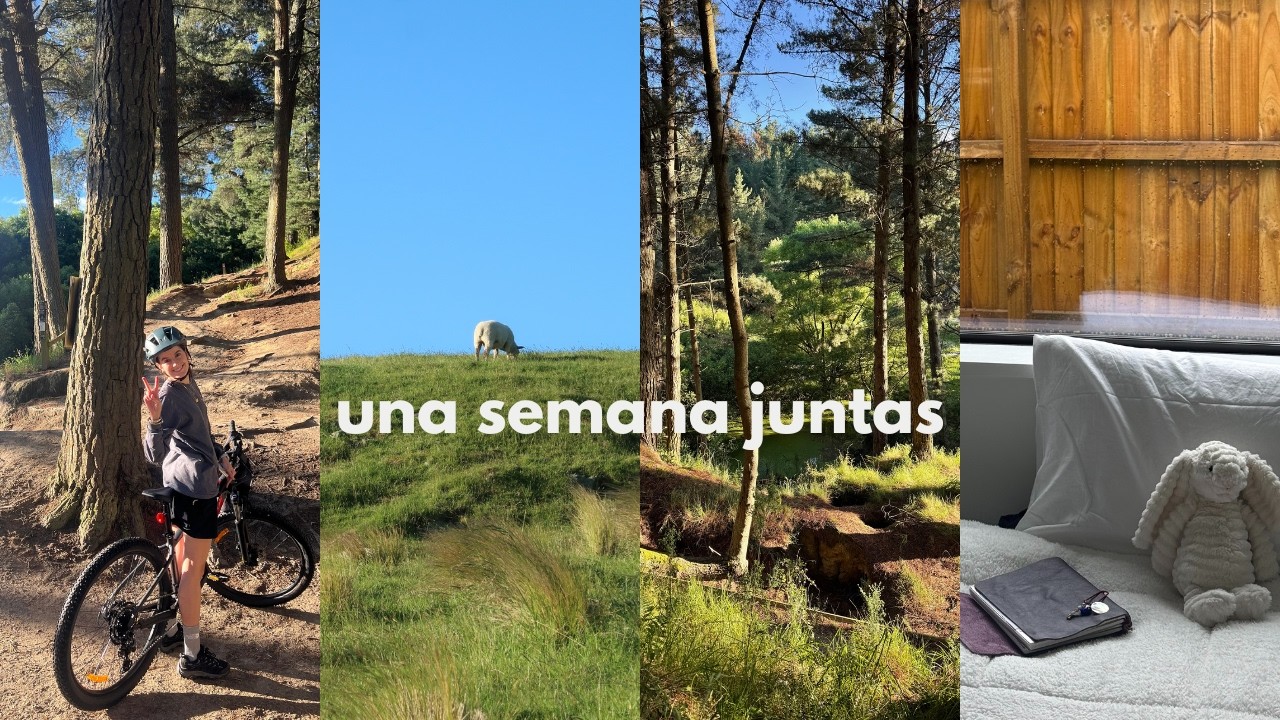 buscando trabajo y nuevas rutinas