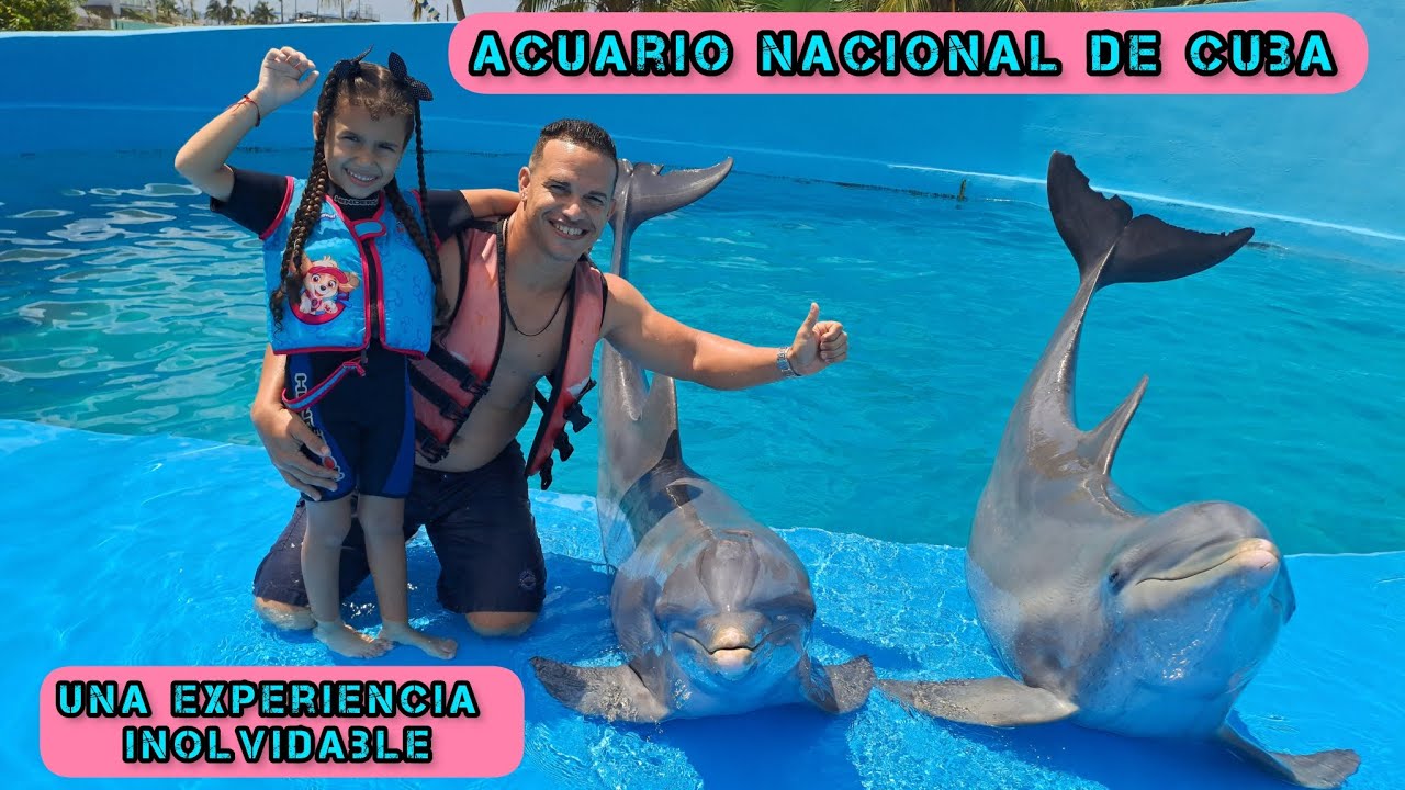 Acuario Nacional De Cuba. ¡ Así está ahora !