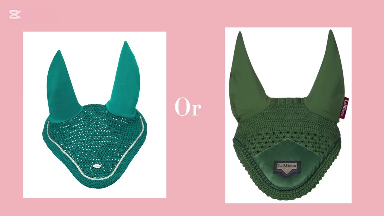 This or that horse edition~ don’t steal ‼️ Made by me :)