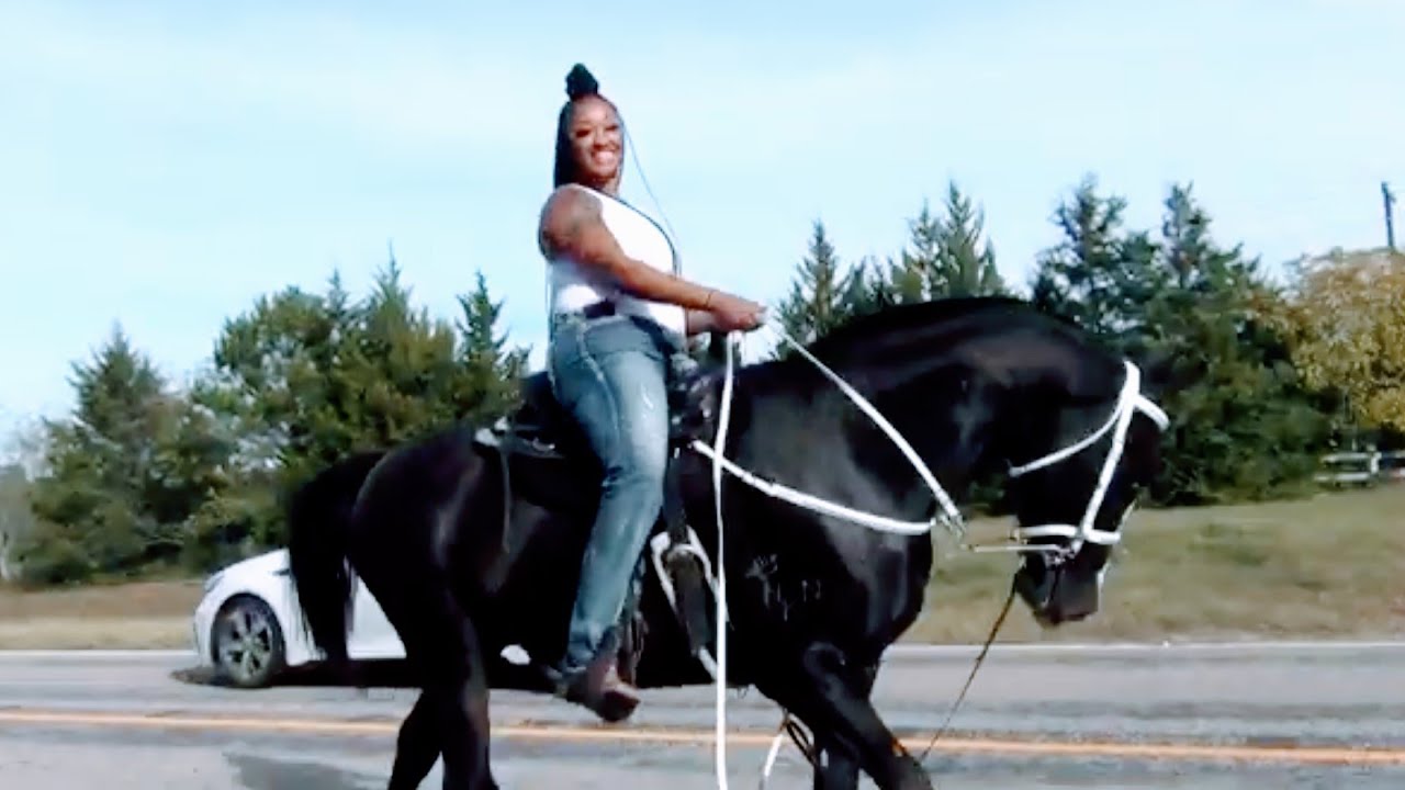 Соревнование Come Together Trail Ride 2023 в Дуглассвилле, Техас — «ОГРОМНОЕ»!