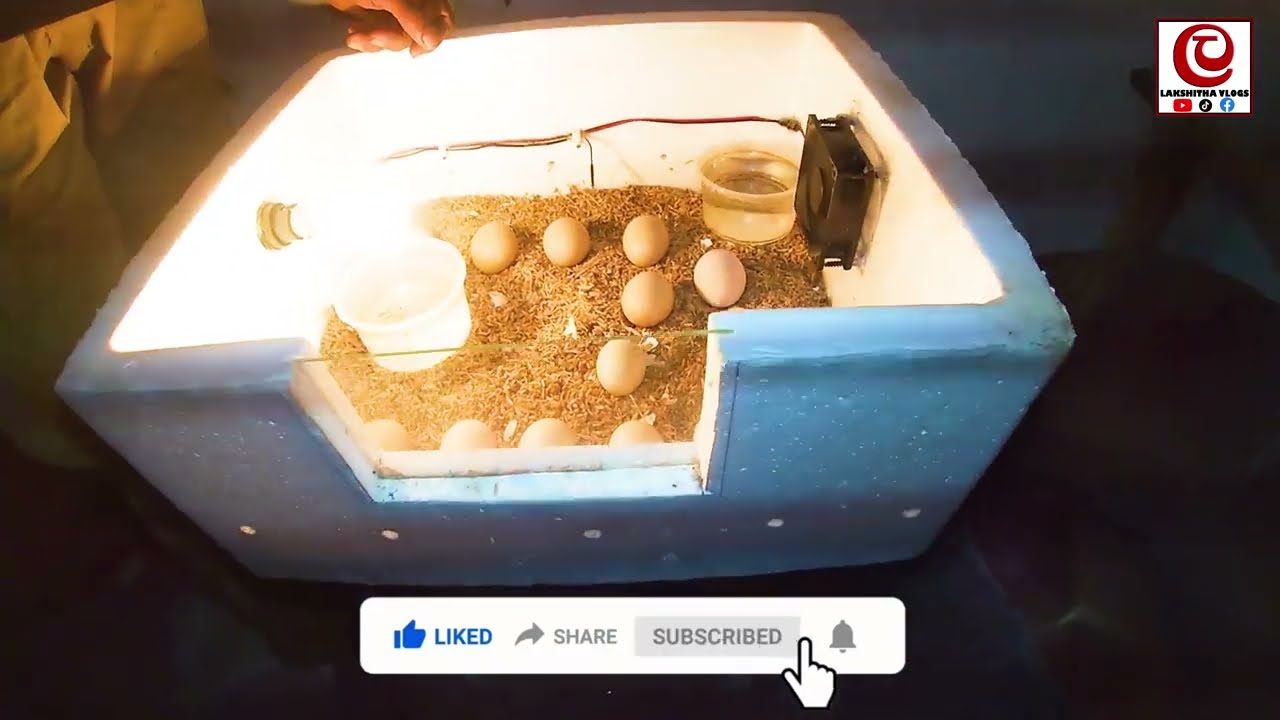 බිත්තර රක්කවන යන්ත්‍රයක් හදපු අපේ කොල්ලා | village poultry farming