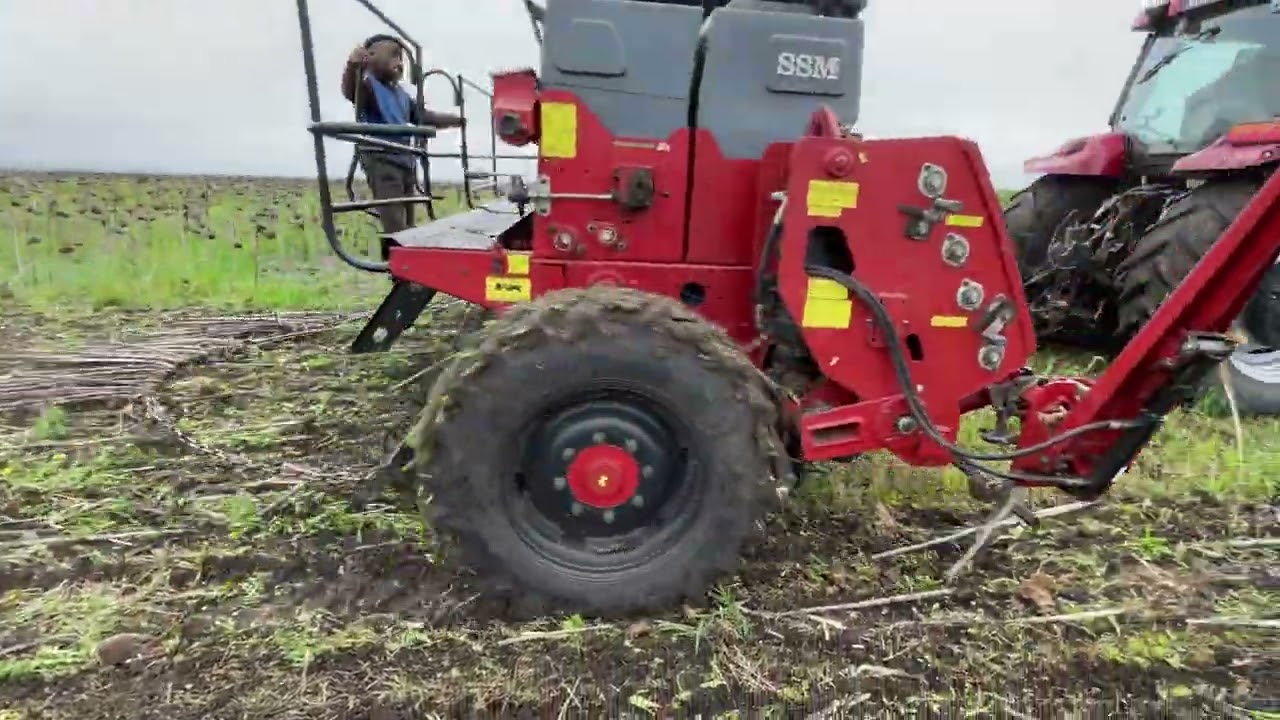 ❌Сівалка SEMEATO SSM23 NO-TILL ❌робить дива😱