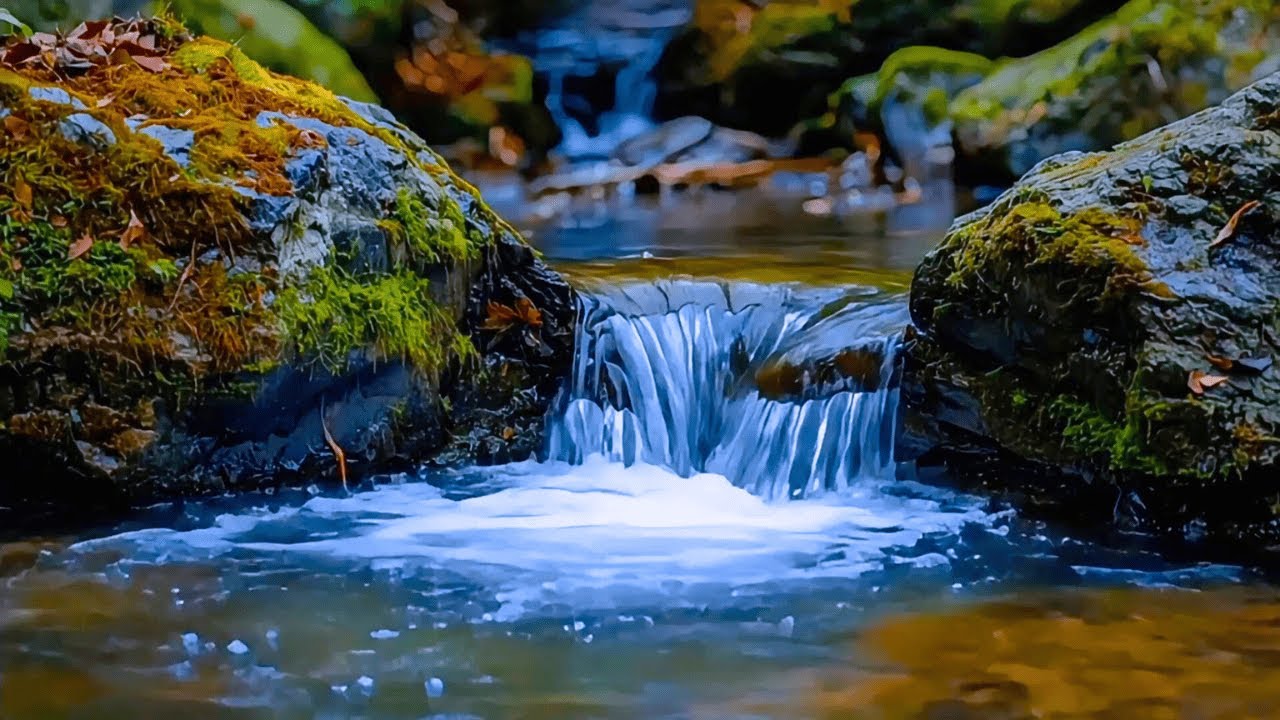 Peaceful River Stream & Birds Singing for Deep Sleep, Relaxation, Study, Stress Relief & Meditation