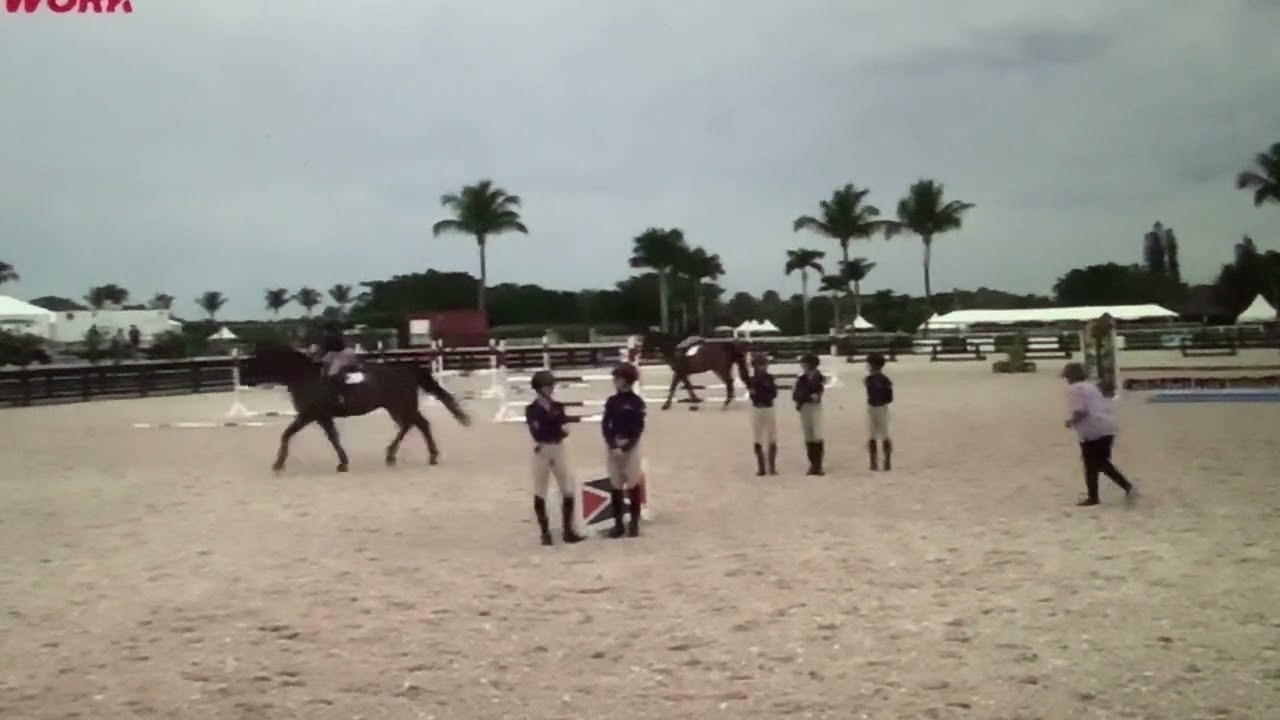 Katie Prudent USEF Clinic Group 1 Part 3