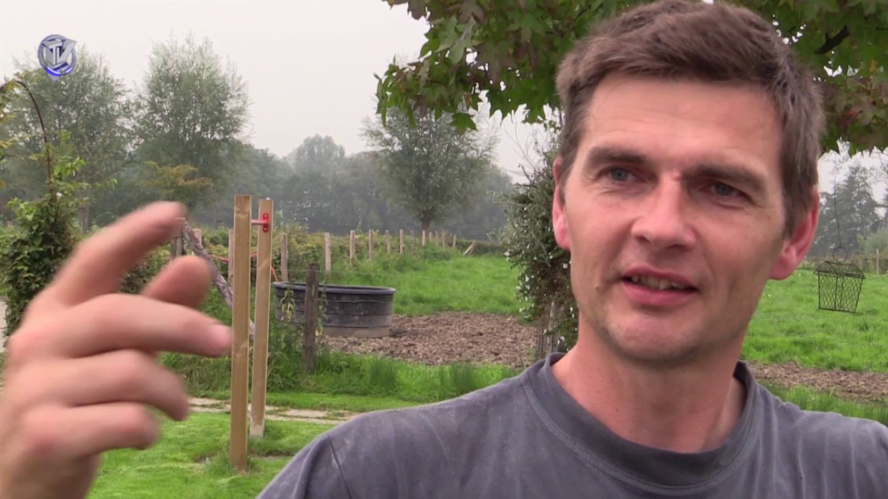 2016-26-10 Koetsje durch ’t Krijtland  Watermolens deel 11