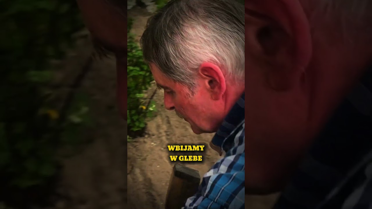 JAK POZBYĆ SIĘ KRETA Z OGRODU? - ZIBI PL EKOLOGICZNY SPOS&Oacute;B #youtube #dlaciebie #viral #kret