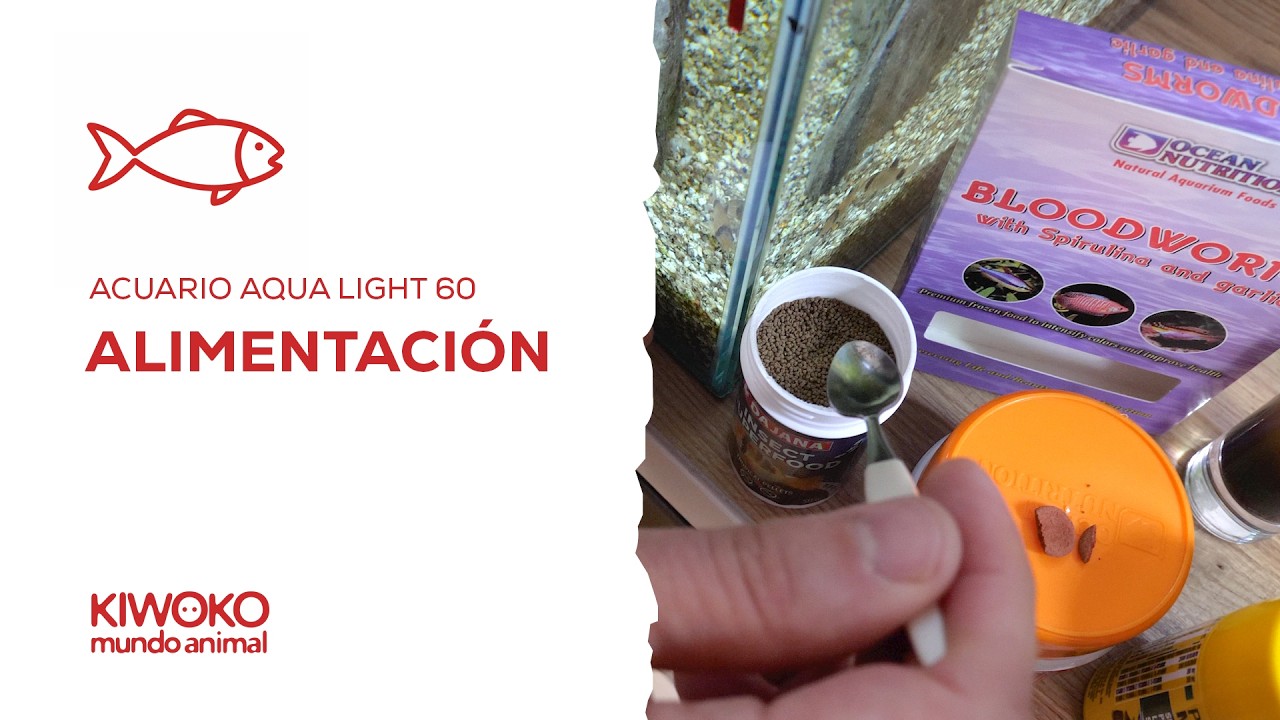 La ALIMENTACIÓN que usamos en el Aqua Light 60 | Qué comen nuestros peces