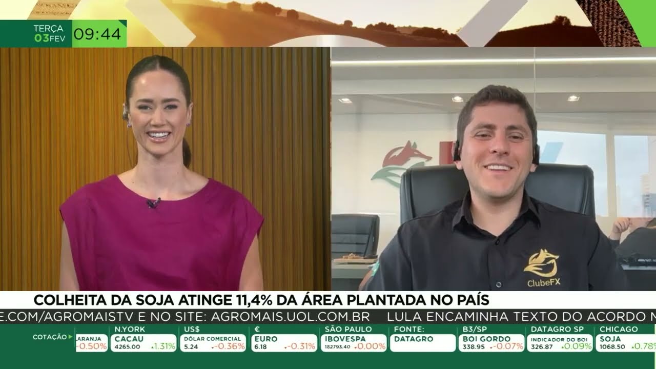 Colheita da soja atinge 11,4% da área plantada no país