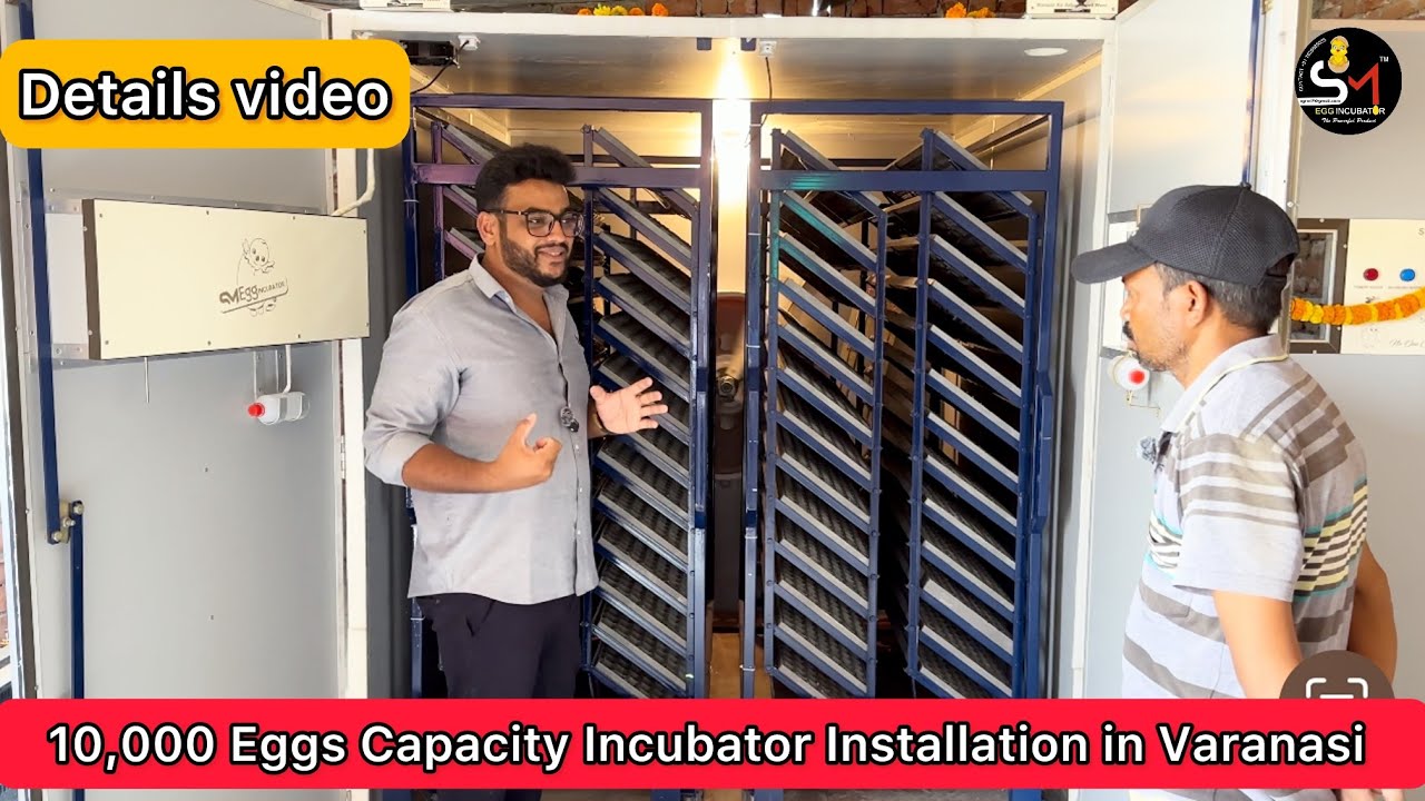 10,000 Eggs capacity Egg incubator | latest technology made in India 85% Hatching #viral #incubator
