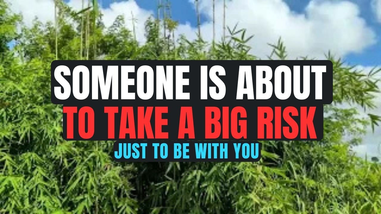 Someone Is About to Take a Big Risk Just to Be With You