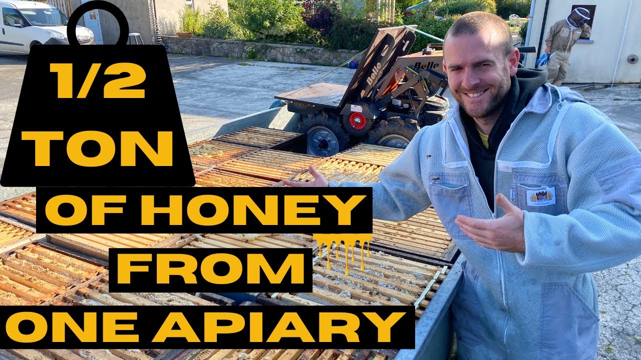 Half A Ton Of Honey From One Apiary.