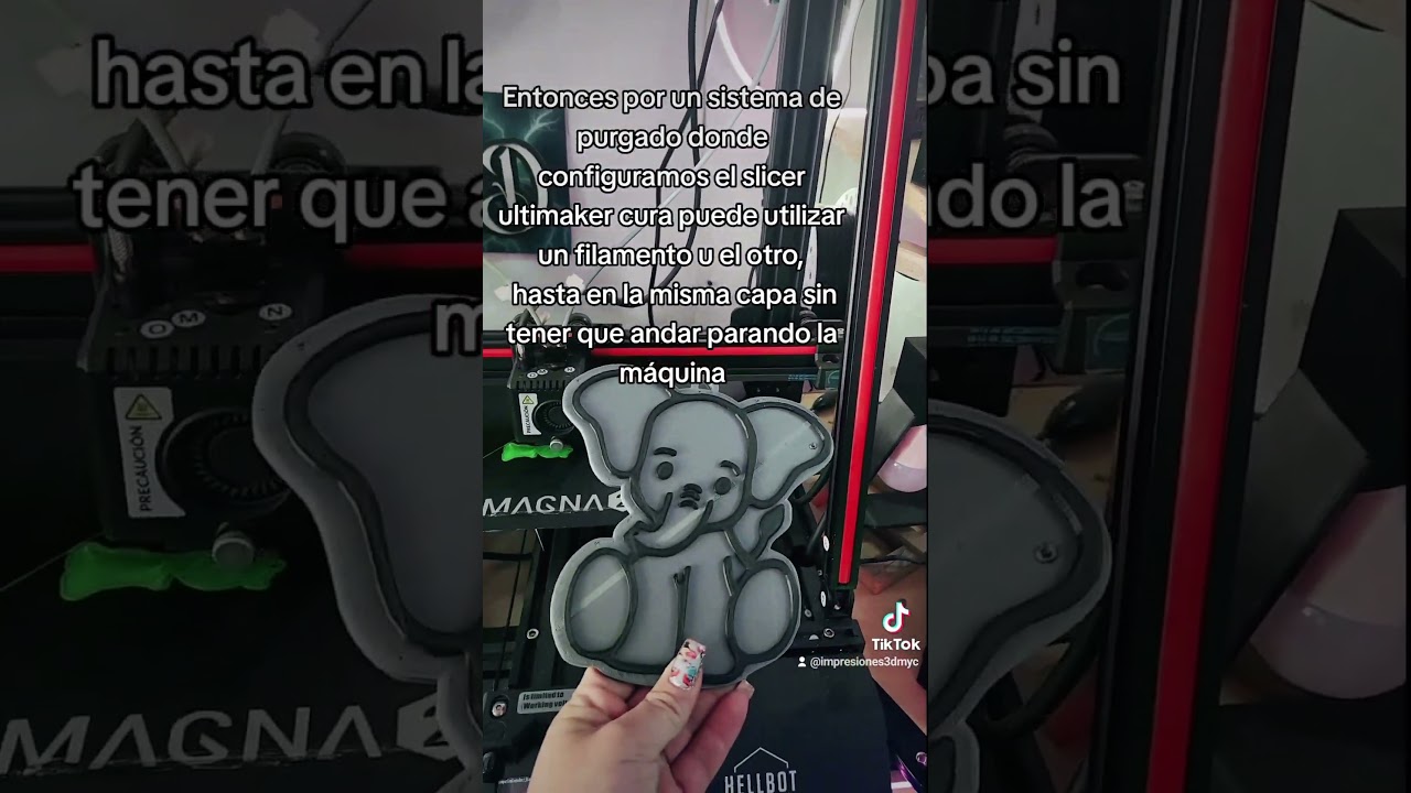 magna dual