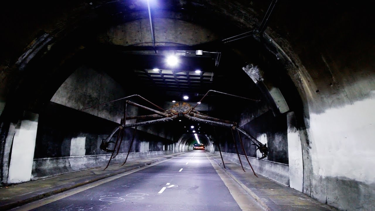 Little Giants: Tailless Whip Scorpion
