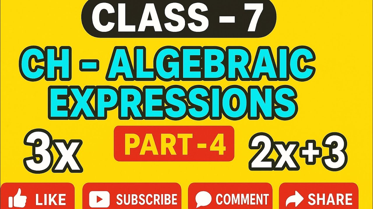 Algebraic Expressions Class 7 | Adding Algebraic Expressions | Part 4