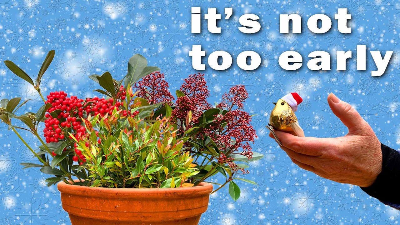 Get Your Christmas Pots Ready Now!