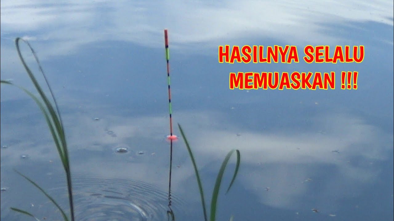 VIRAL !!! MANCING NILA PAKAI TEKNIK TERLARANG AUTO DAPAT BABON |#mancinglobang |