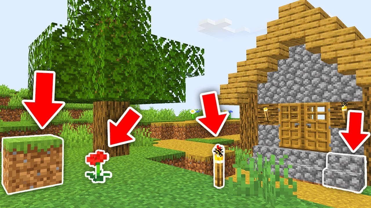【マイクラ】ブロックに変身してかくれんぼ！