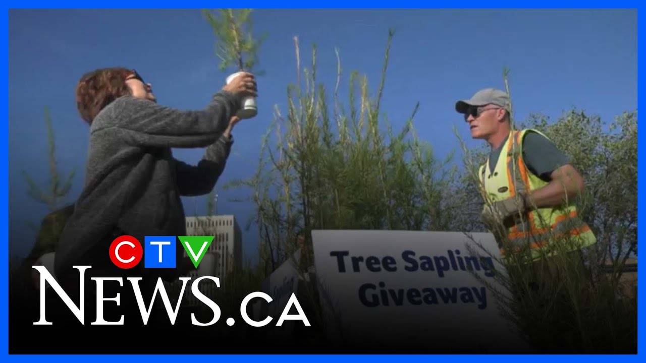 National tree day in YQR