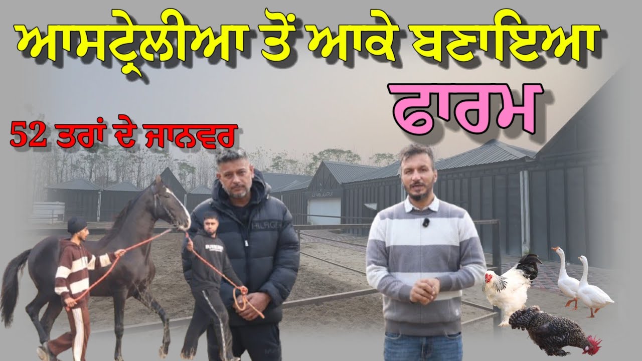 52 ਤਰਾਂ ਦੇ ਜਾਨਵਰ ਰੱਖੇ ਆ ਬਾਈ ਨੇ ਫਾਰਮ ਤੇ,, ਕੁੱਕੜ ਬੰਦੇ ਨਾਲੋਂ ਜਿਆਦਾ ਮੌਜ ਕਰਦੇ ਆ