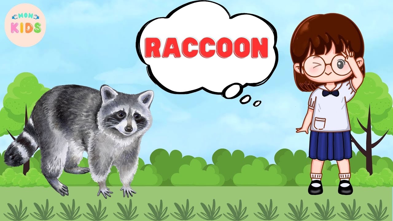 Raccoon Facts For Kids 😄 Learn All About Raccoon | MON Kids