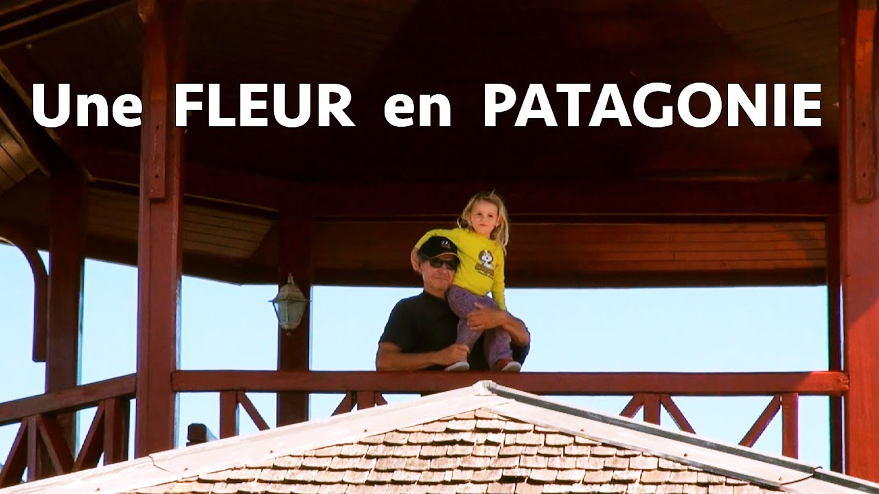 4.2 : Une Fleur en Patagonie