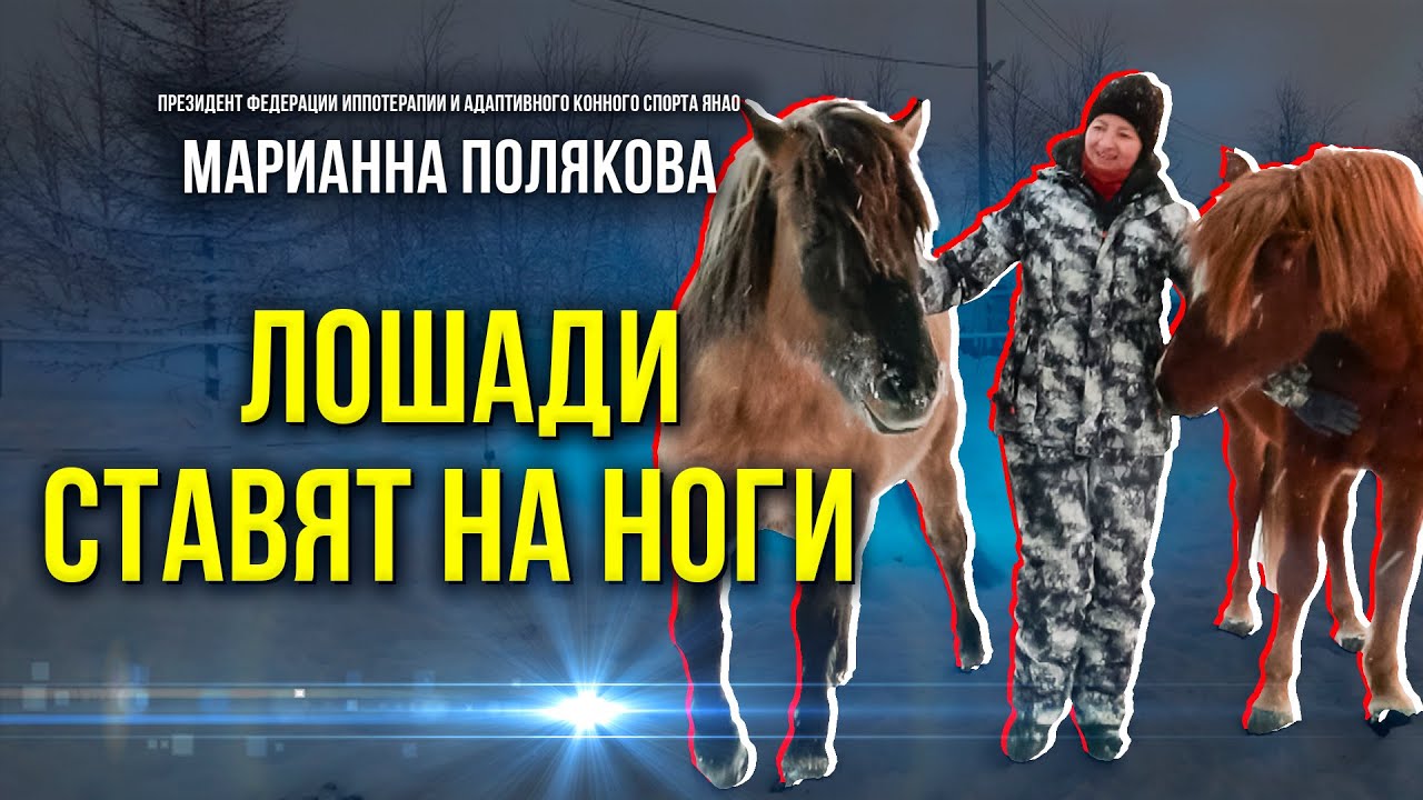 Как в центре иппотерапии на Ямале помогают особенным детям