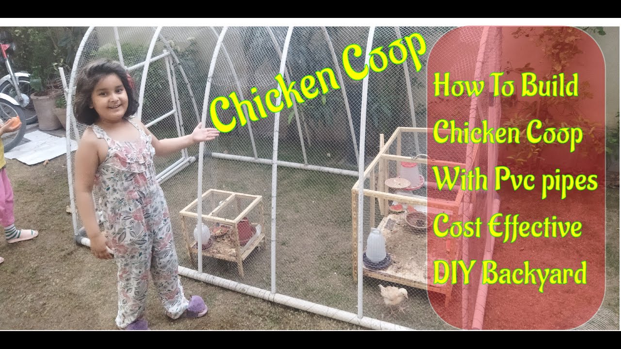 How to Build a Backyard PVC Chicken Coop | DIY Chicken Coop| Big hen house | Low Cost PVC pipe shed