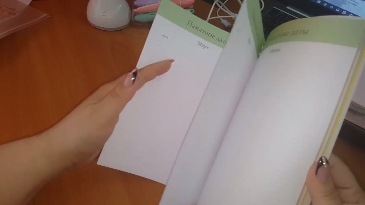 Контрольный журнал от Ирины Соковых. Обзор. Flylady. Мой ежедневник.