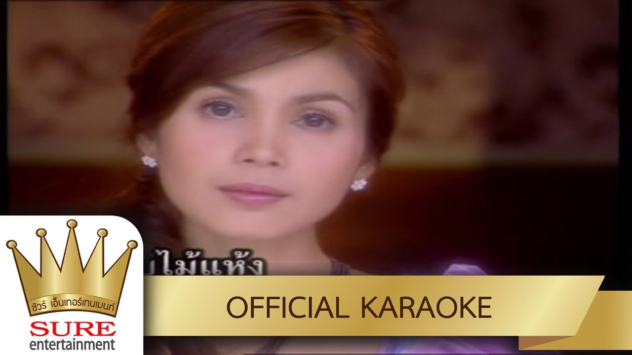 เรารอเขาลืม - ฝน ธนสุนทร [KARAOKE OFFICIAL]