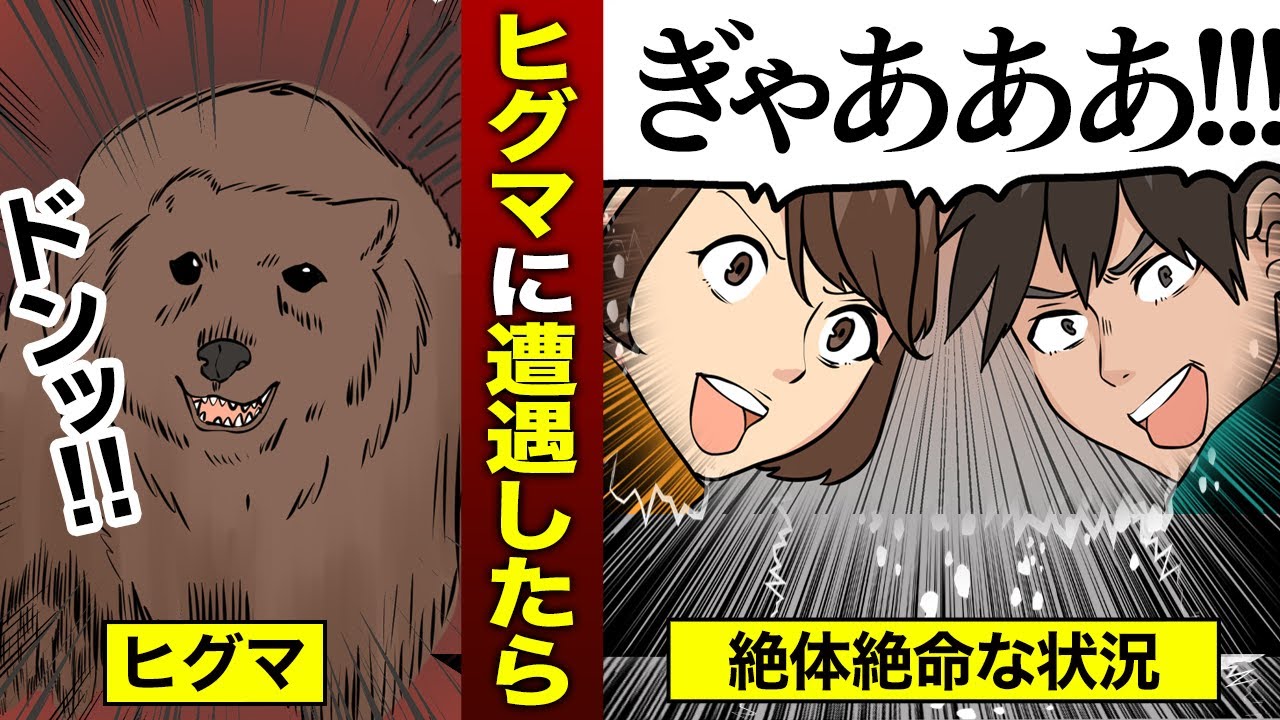 【知らないと損】ヒグマのいる地帯に足を踏み入れたらどう生き延びればいいのか？
