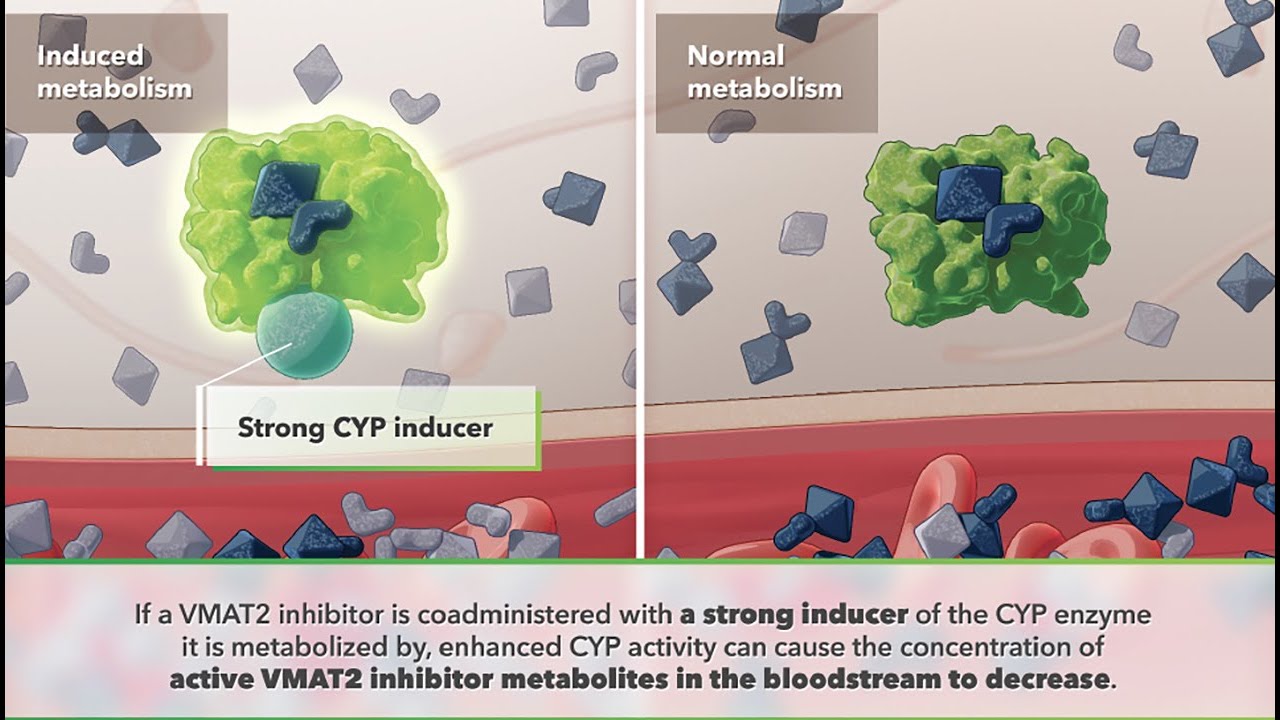 Visualizing The Role of Metabolic Pathways in Drug-Drug Interactions