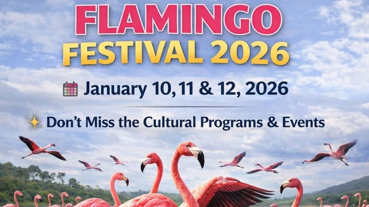 #live Fiamingo Festival 2026 /గౌరవ శాసనసభ్యురాలు డా. నెలవల విజయశ్రీ గారి నాయకత్వంలో/Day 03