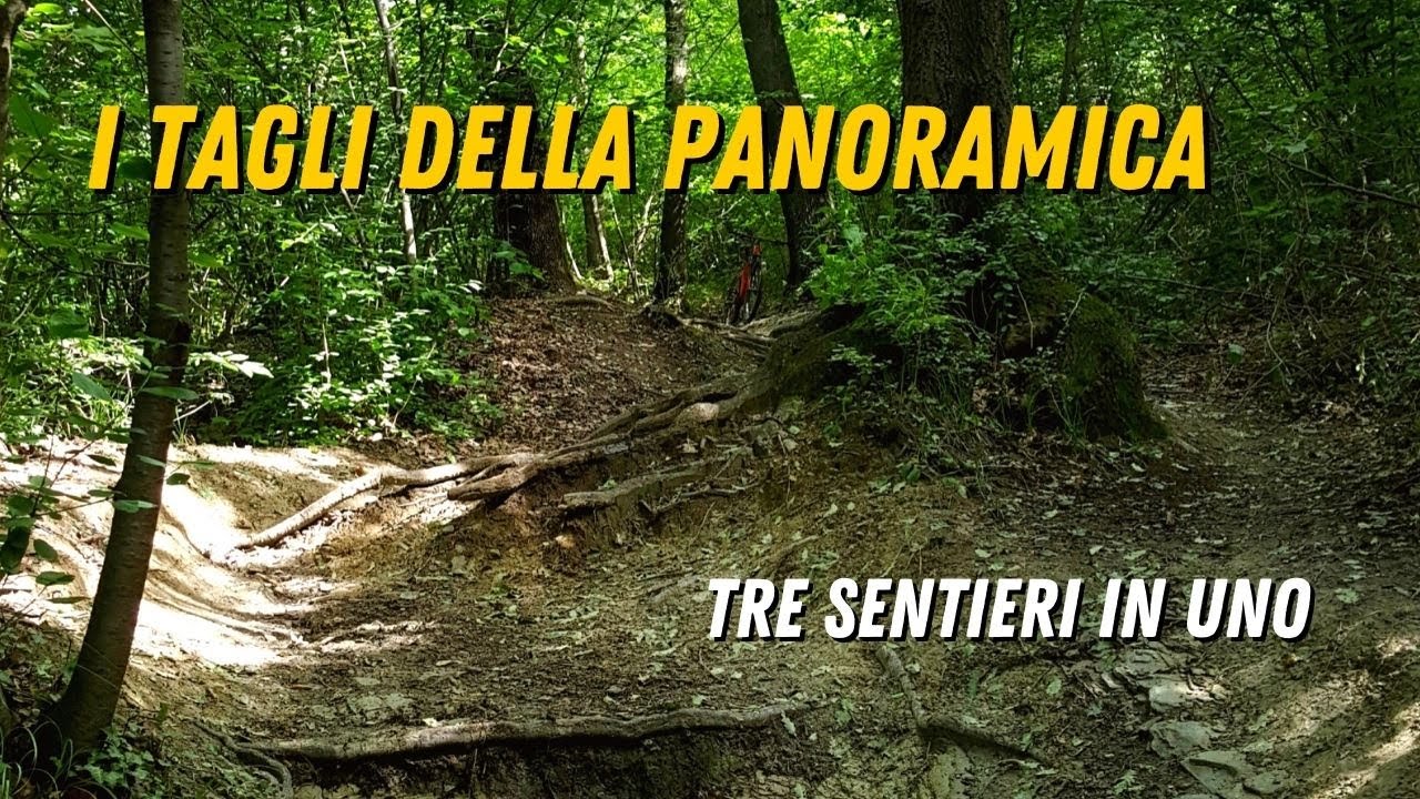 I TAGLI DELLA PANORAMICA - MTB TORINO - Fast and Flowurios