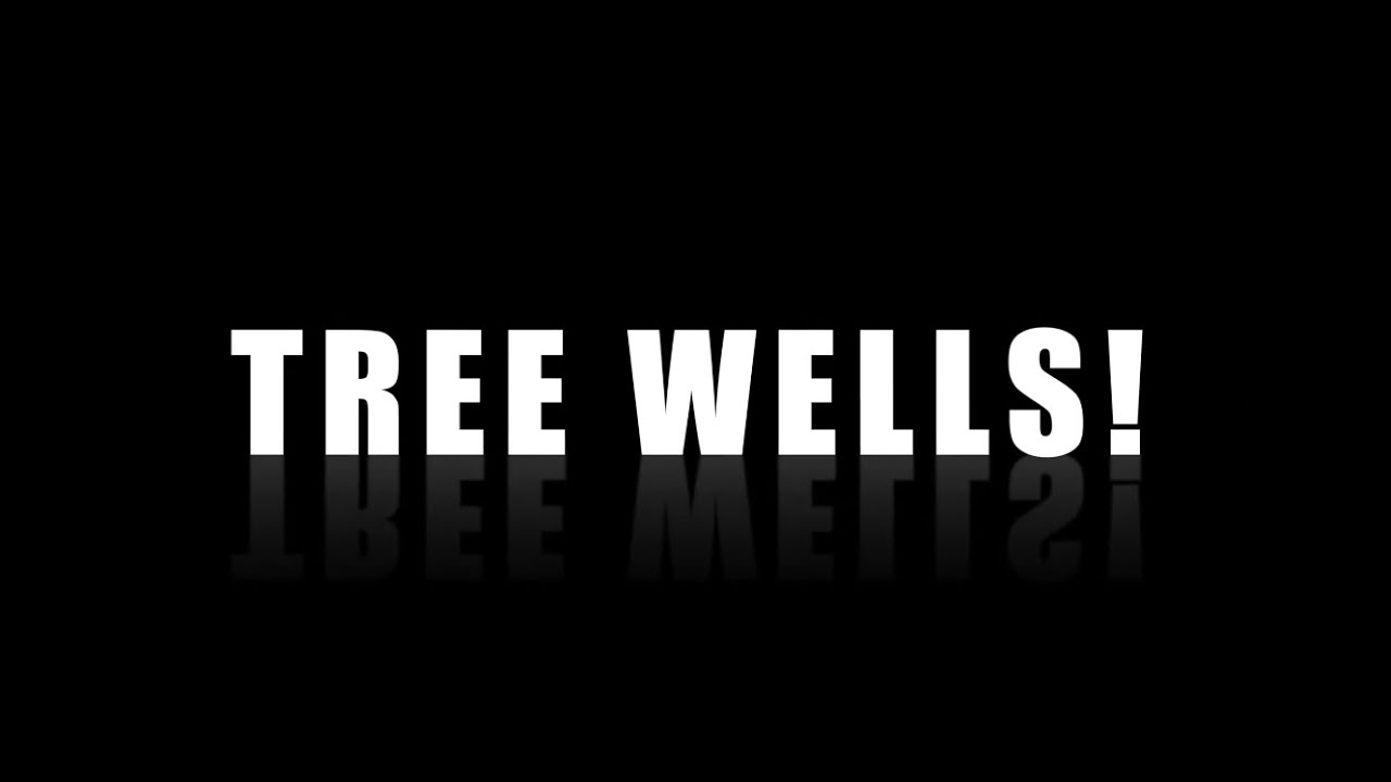The Dangers of Tree Wells