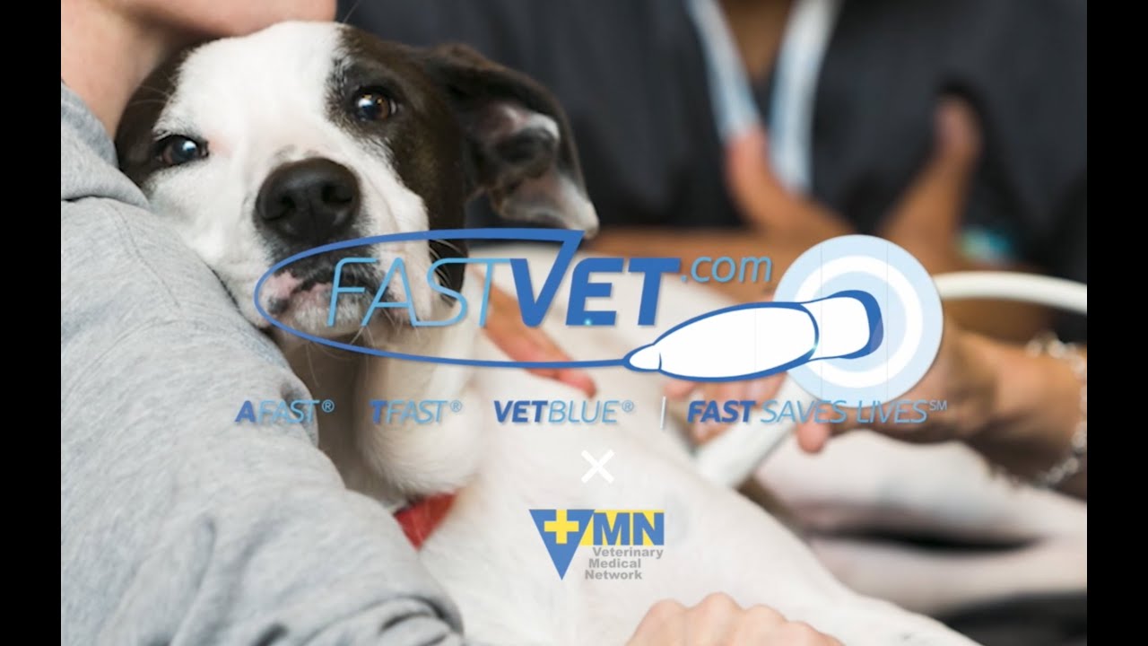 AFAST®、TFAST®、Vet BLUE®を統合したGlobal FAST®――獣医師にとってどう役立つのか？