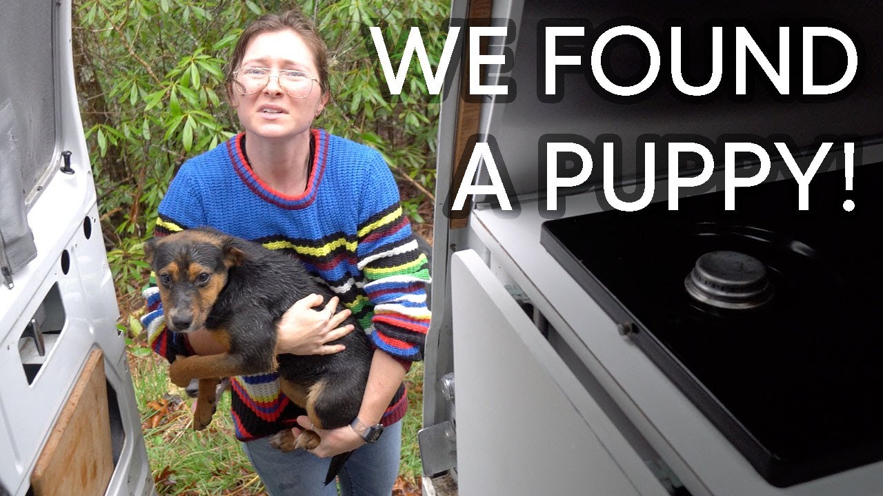 We Found A Puppy Running Wild in Tennessee | A Van Life Story