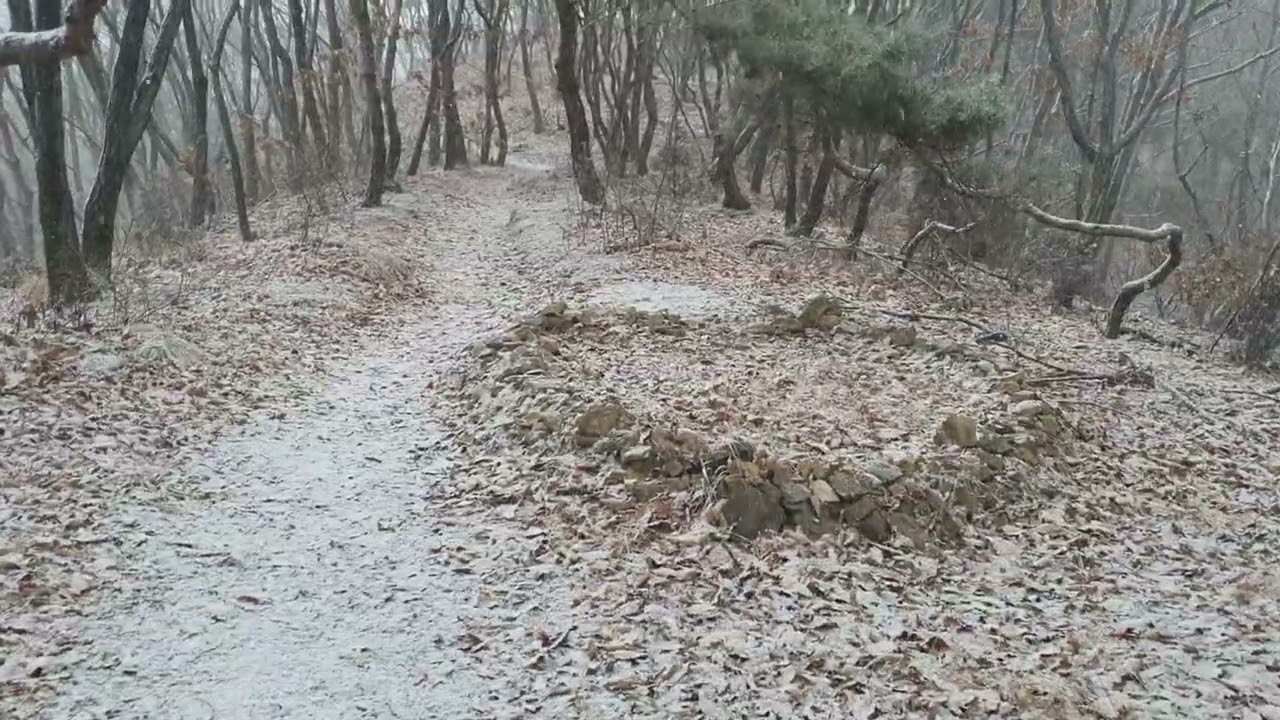 2026년 2월 3일