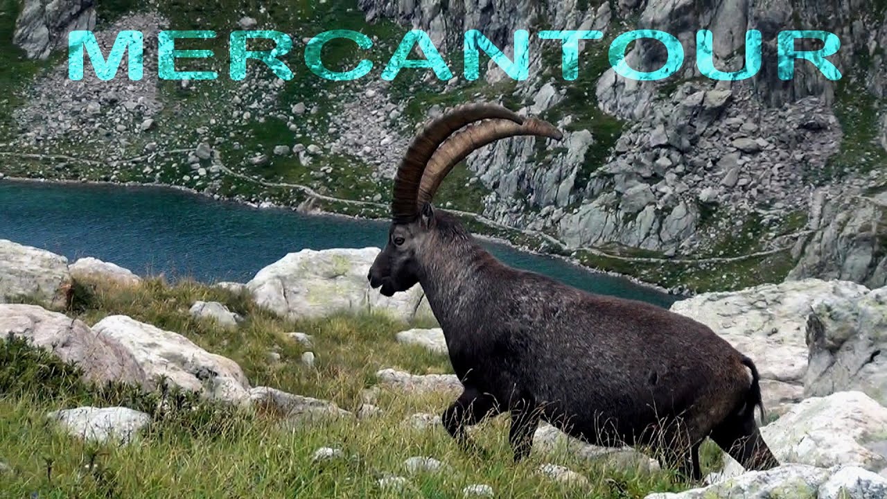 RANDO & BIVOUAC dans le MERCANTOUR