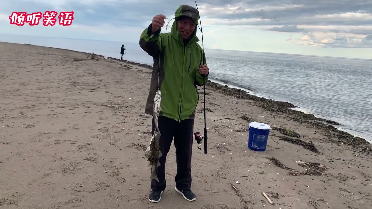加拿大New Brunswick省的这个地方鱼太多了，都是海鲈鱼和马鲛鱼（sea bass and mackerel），拉鱼拉的手抽筋儿