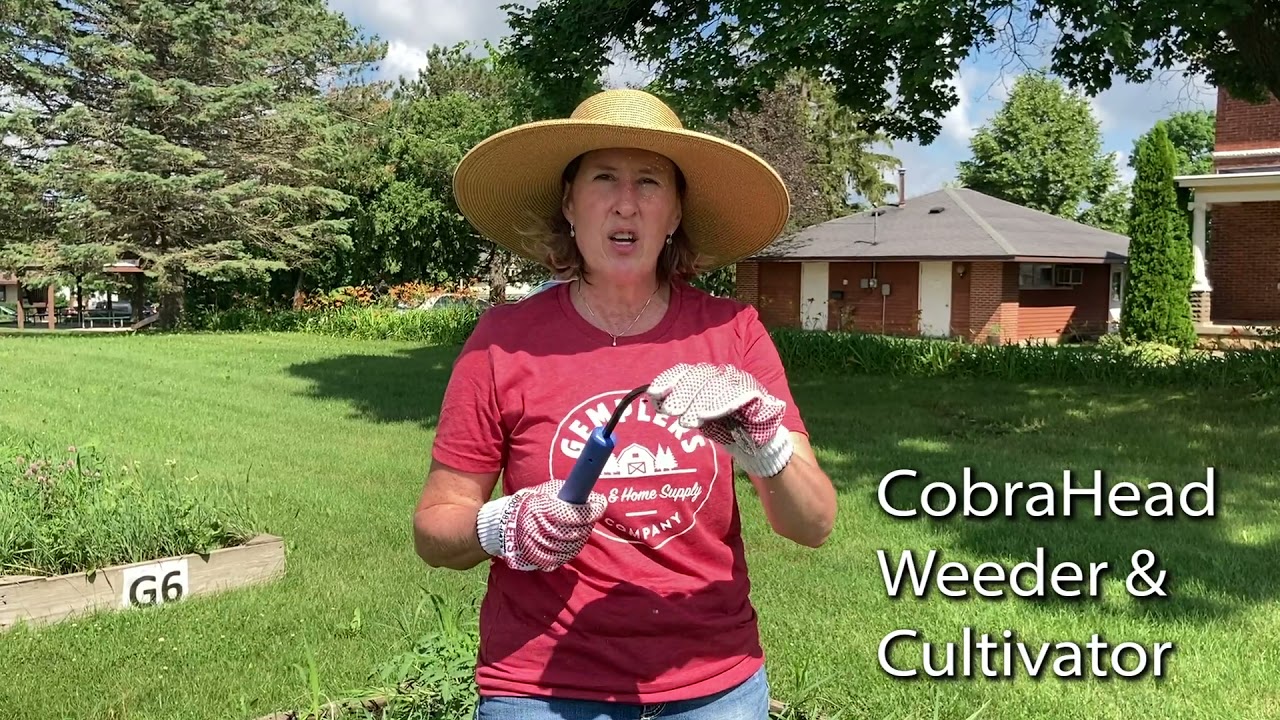 Rogue Hoe and CobraHead Weeder | Garden Tools and Hardware