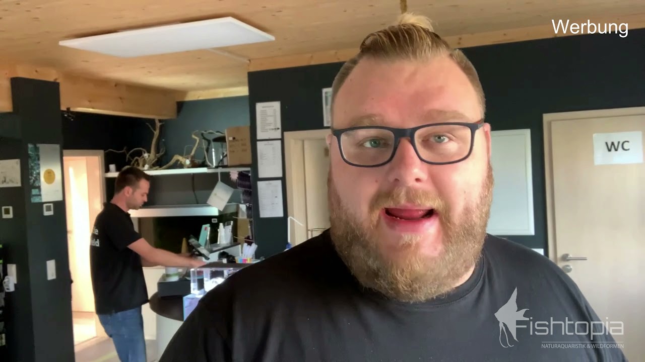 Fishtopia Weekly 1 - Neues aus dem Laden