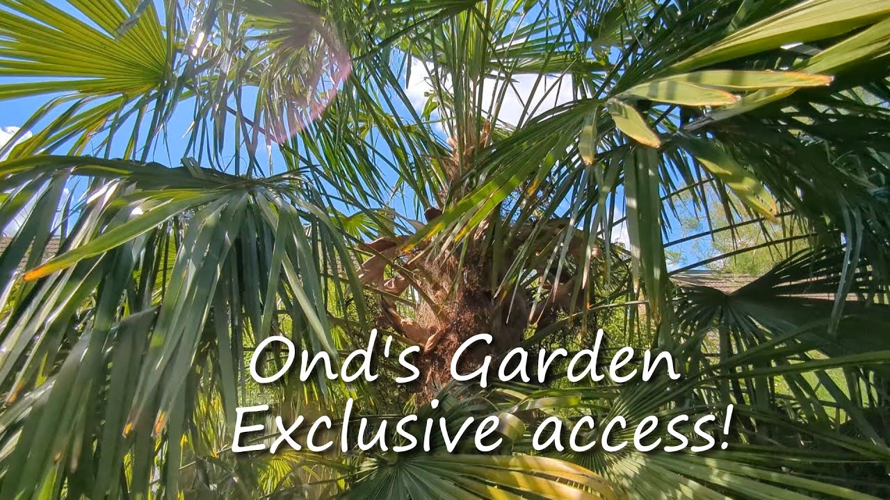 OndsGardenExclusiveAccess