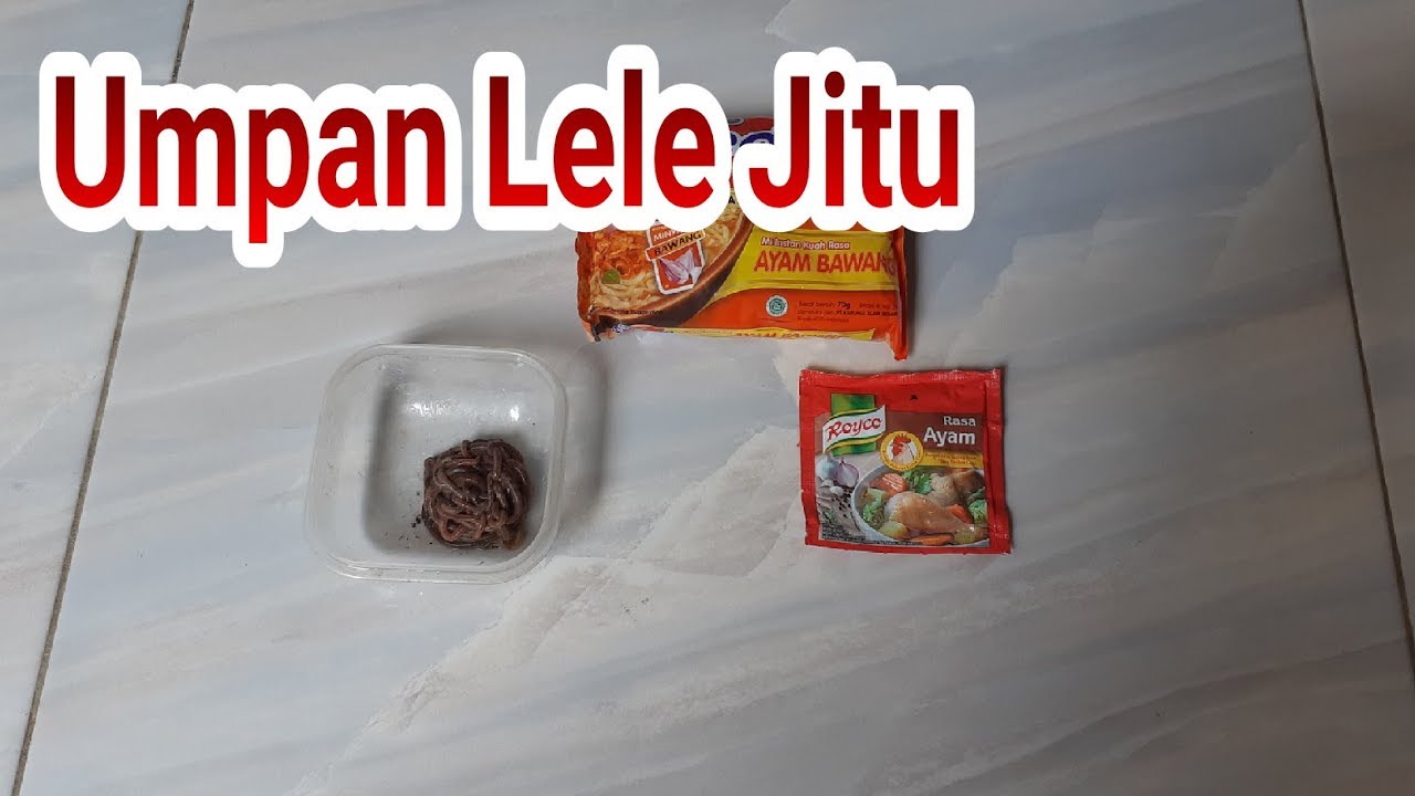 UMPAN LELE JITU Cacing Minyak