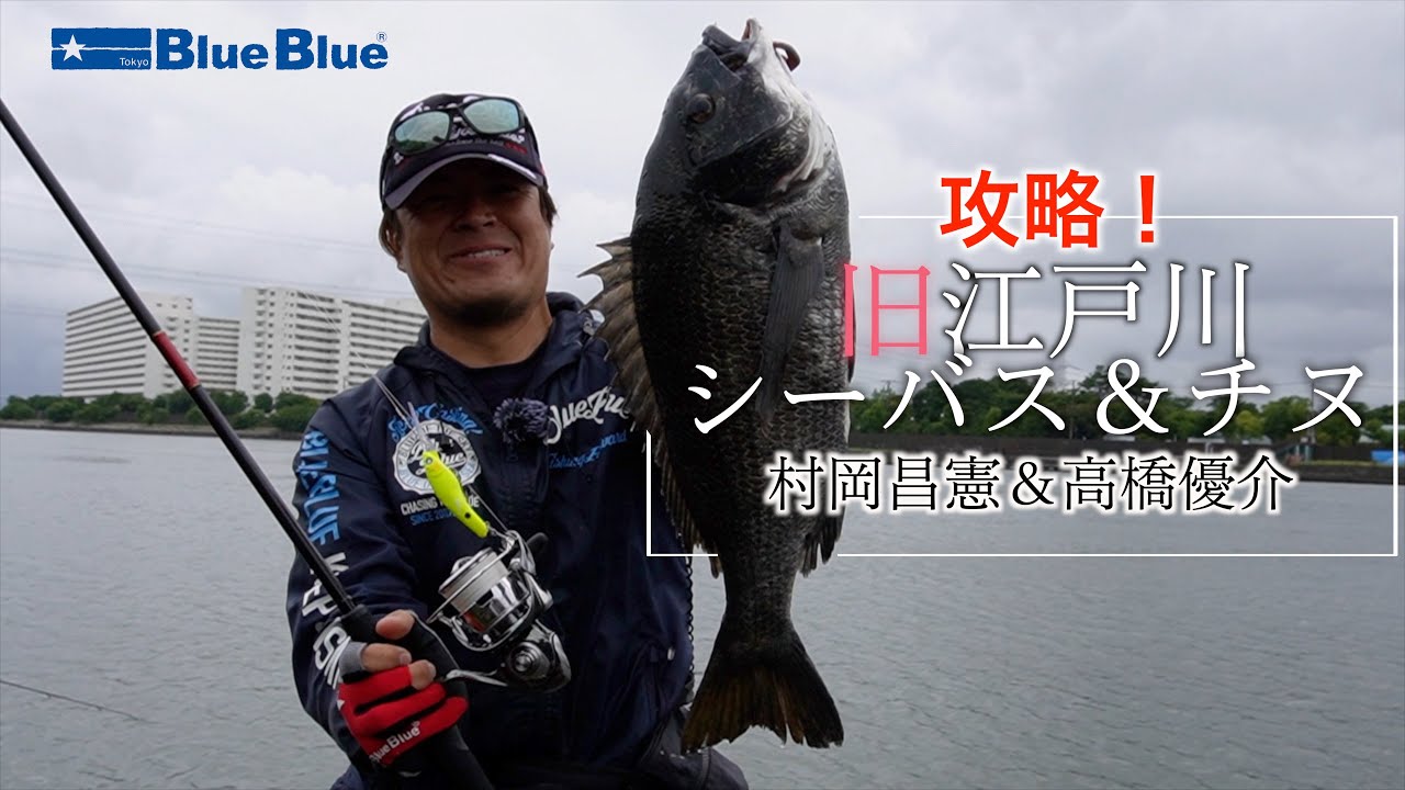 【東京湾奥】村岡昌憲&高橋優介 東京湾オカッパリ釣行　梅雨シーズンの旧江戸川