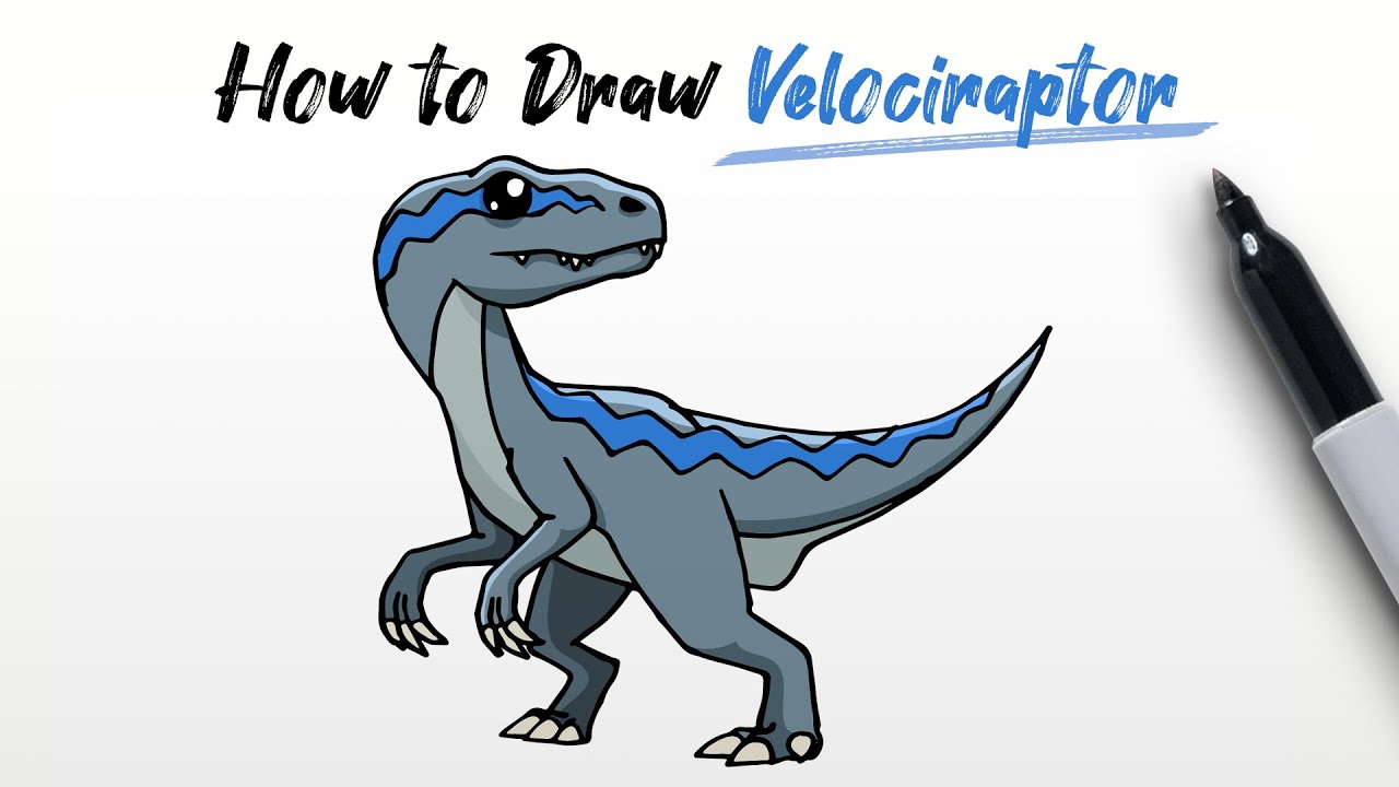 How to Draw a Velociraptor (Raptor dinosaur from Jurassic Park and World) Step By Step