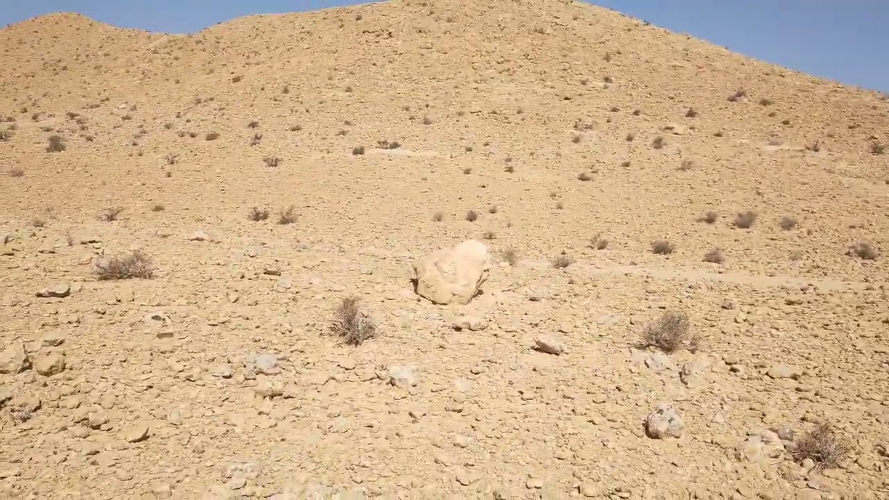 رمز الجمل وقبره الثمين٠٠٠جديد كاسر الرومان