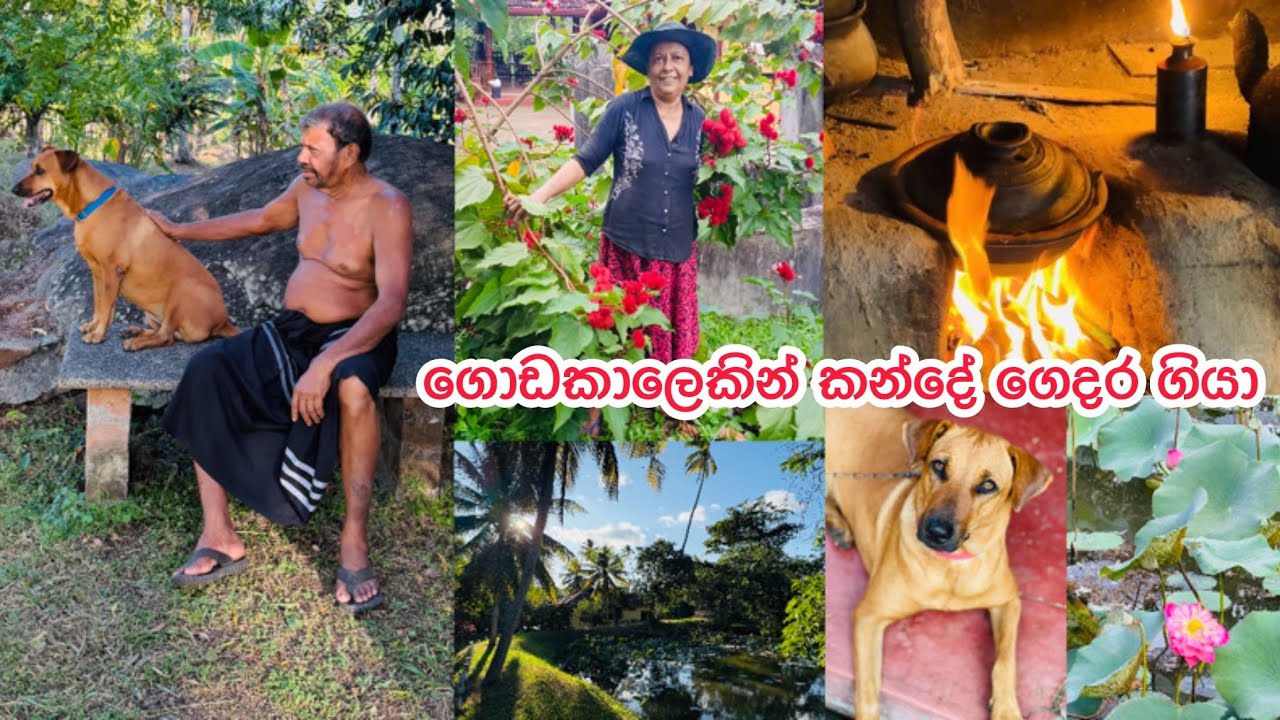 ගොඩ කාලෙකින් අපි දෙන්නා අප්පාච්චිලාගේ කන්දේ ගෙදර ගියා | පුංචාගේ රස රෙසිපි ගොඩකුත් තියෙනවා | Bhagi 