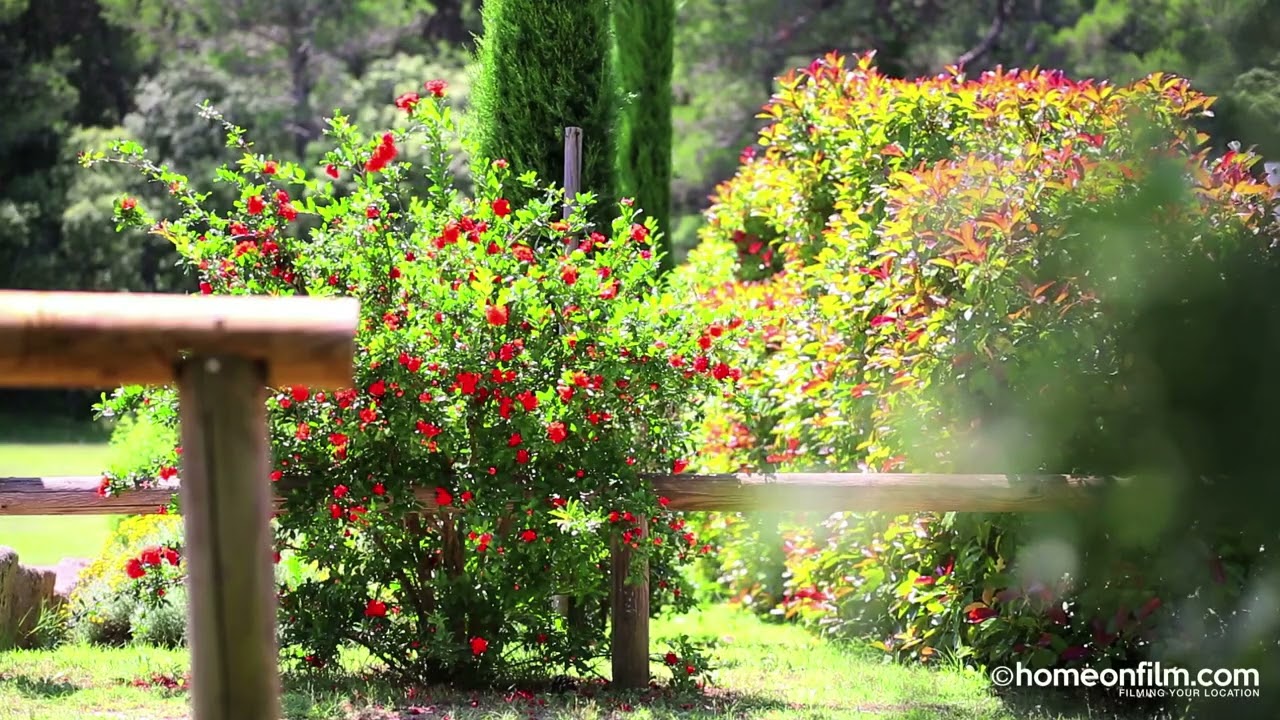Taillades, Vaucluse, Provence-Alpes-Côte d'Azur, Cavaillon, France