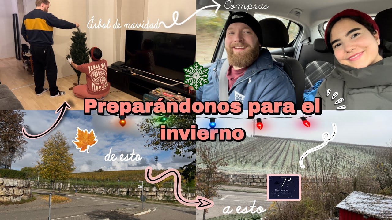 Llegó el frío a Alemania🇩🇪|Armamos el árbol🎄 de navidad|Compras en Tedi 🛍️🛒