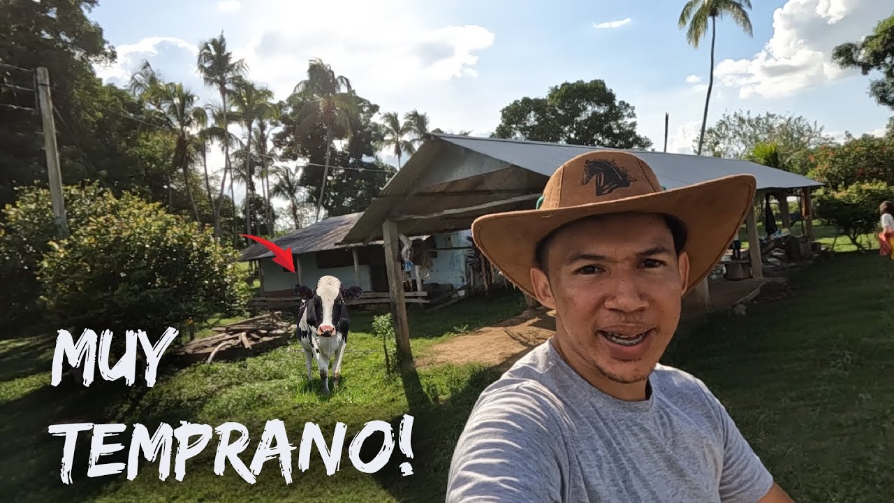 Así  empieza el día en una finca.🐄🐎🐖